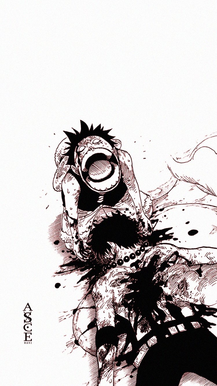 Luffy&Ace